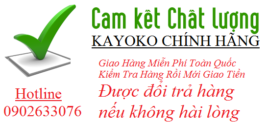 camketchatluong